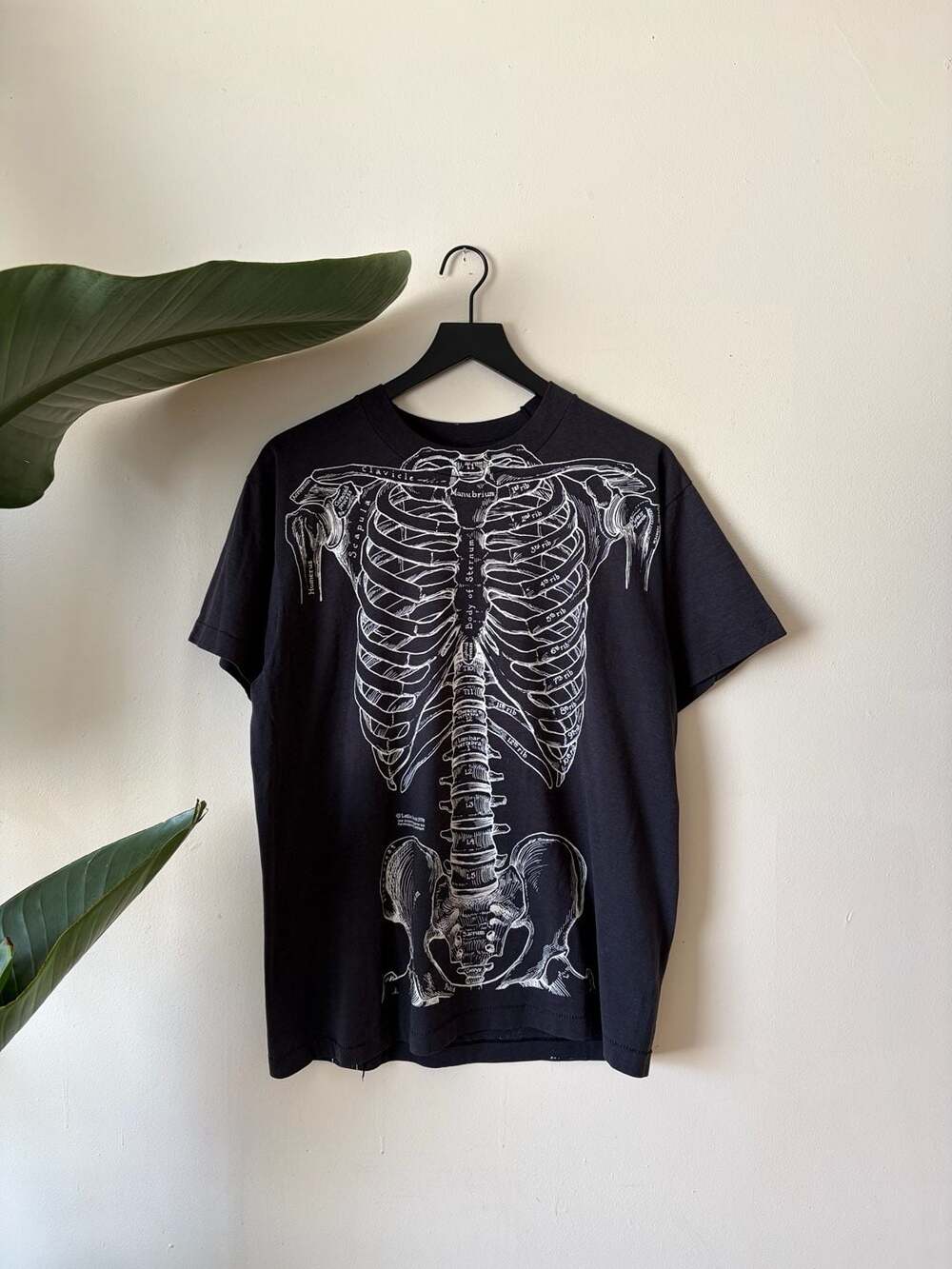 Vintage 90s Leslie Arwin Skeleton Anatomy T-Shirt Size Large Vintage Black